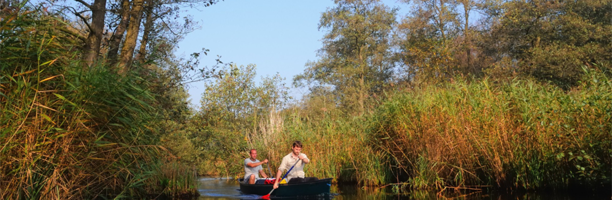 De kracht van de natuur voor je mentale gezondheid
