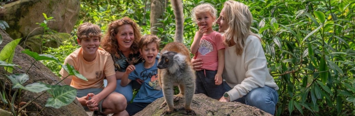 Familie in WILDLANDS Adventure Zoo Emmen