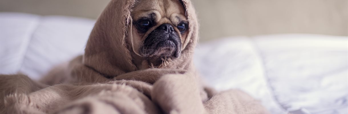 Slaapproblemen? Robot in bed!