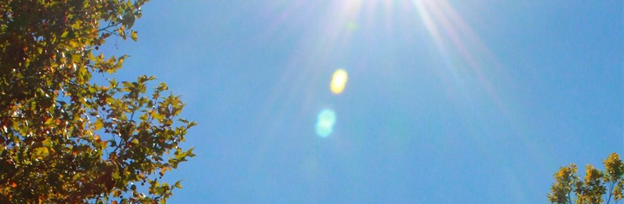 Wat doet de zon met je brein?