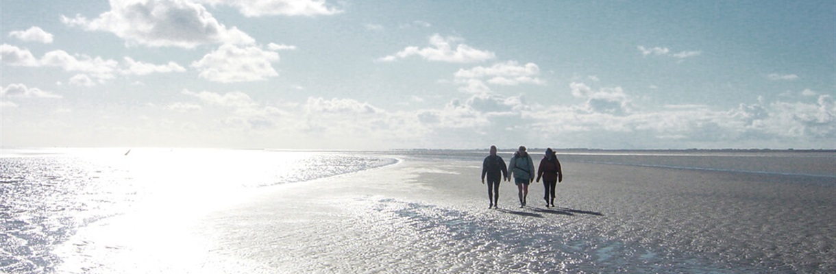 Vijf dingen die je niet mag vergeten tijdens een wandeling