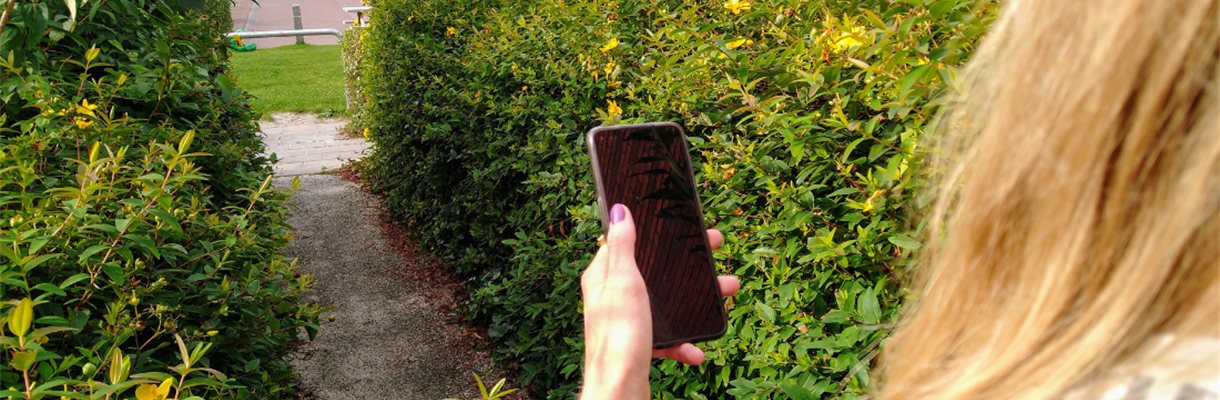 3 wandelapps op een rij