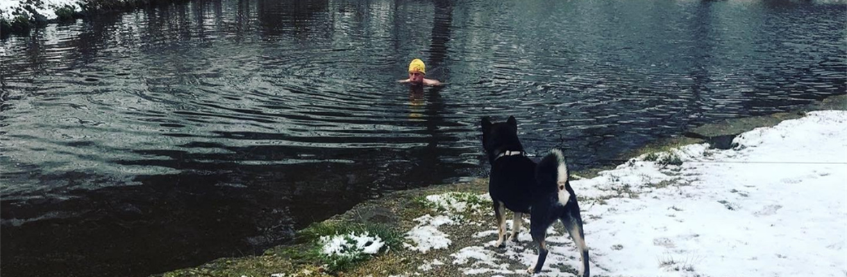 De kracht van het koude water