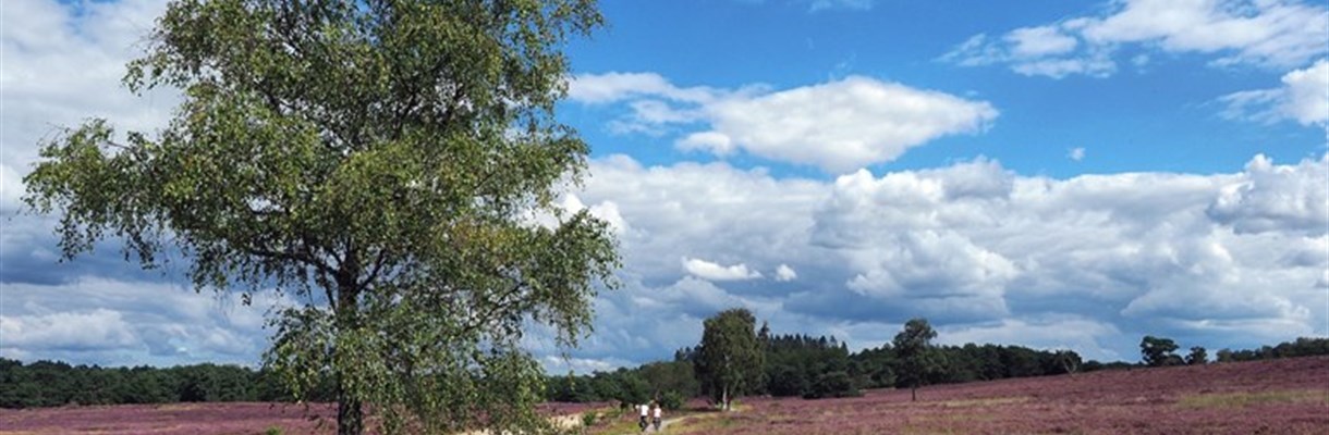 25 dagen, 25 kilometer #finish