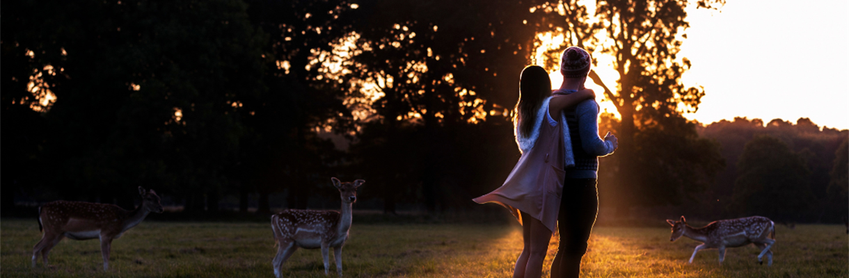 Laat je verwonderen door de natuur