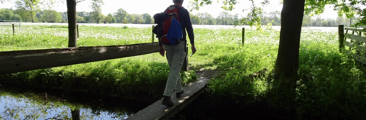Train je hersenen tijdens het wandelen #tipvanTjisse