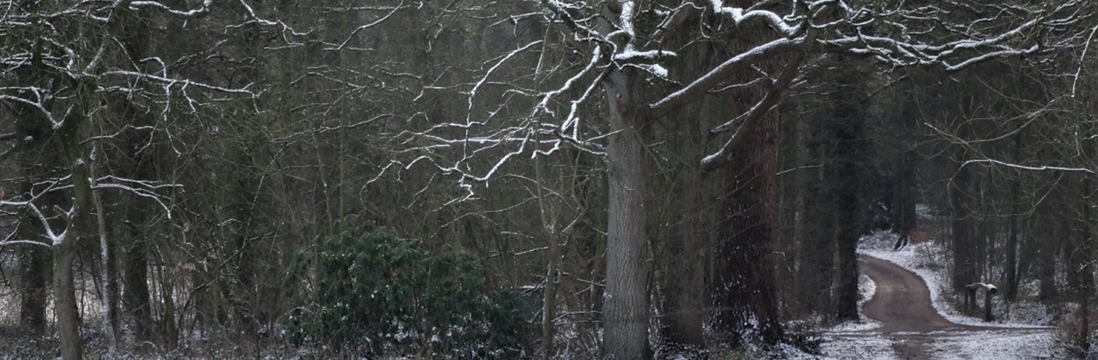 Van IJswegencentrale naar Bospadencentrale