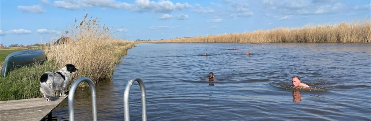 Winters dipje tegen een winterdipje: Ervaar de kracht van koud water