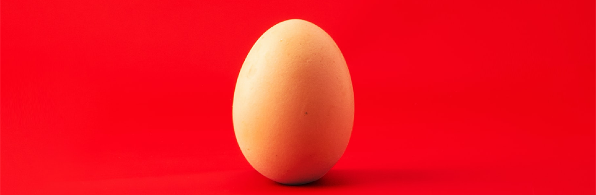 Word blij van ei(wit)