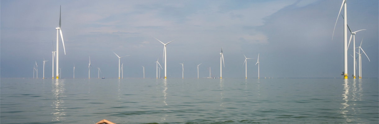 Zee-zwemmen: zo doe je dat