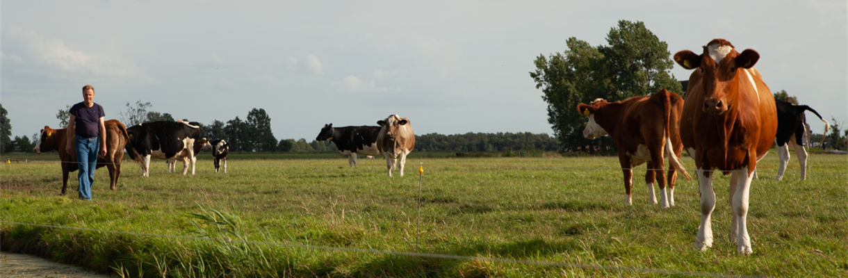 11 vragen aan melkveehouder Sybrand – Bioboer in balans
