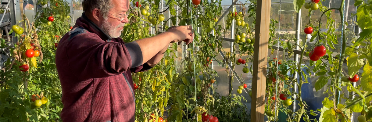 Afsluiting moestuinproject