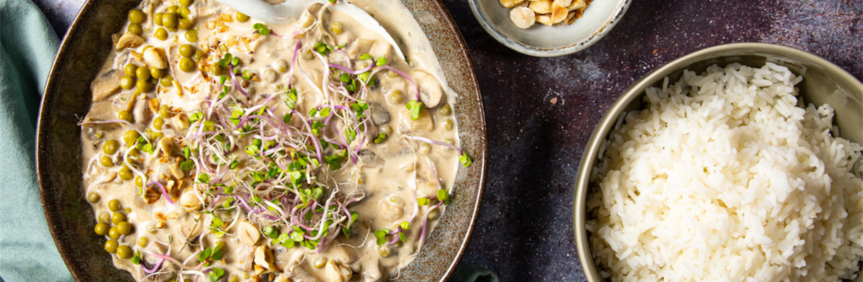 Scandinavische paddenstoelen stoofpot