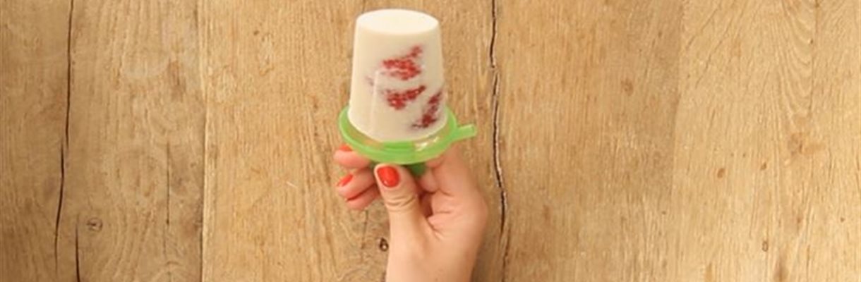 kokos frambozen ijsje zelfgemaakt