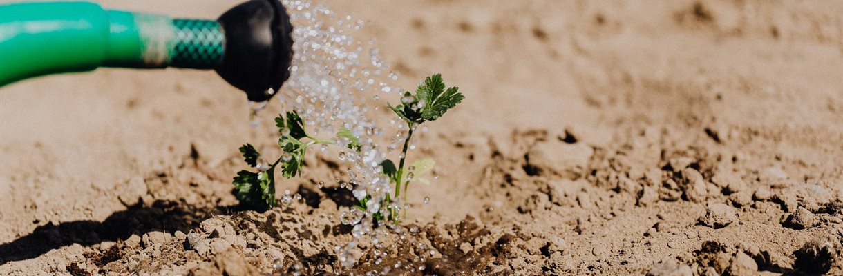 Starten met zaaien....hoe doe je dat?