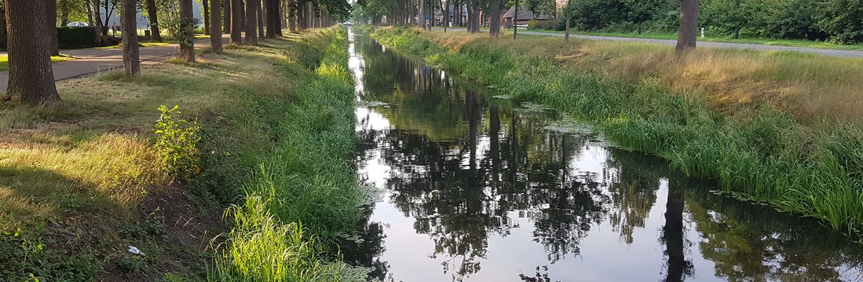 Bloeizone Bakkeveen deel 1: Ruggengraat van de toekomst