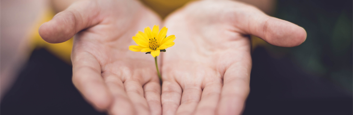 Dankbaarheid als energiegever!