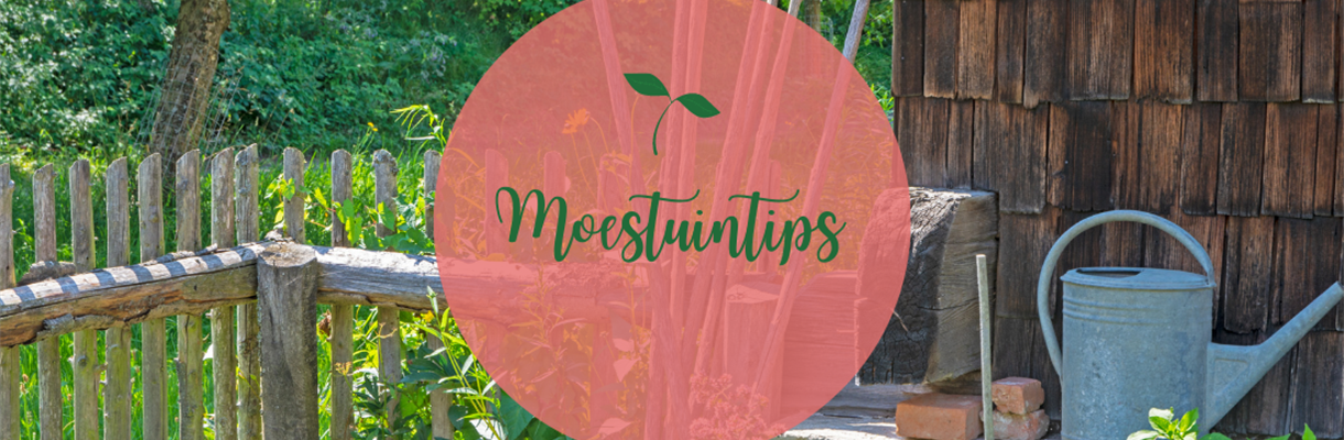 10 moestuintips op een rij